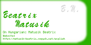 beatrix matusik business card